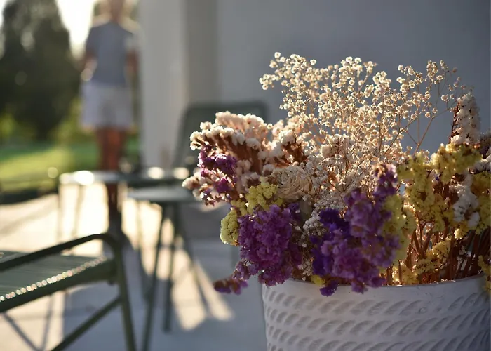 Domus Natura Apartamento Vigonza