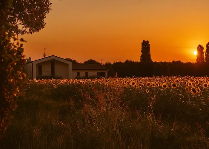 Domus Natura Vigonza