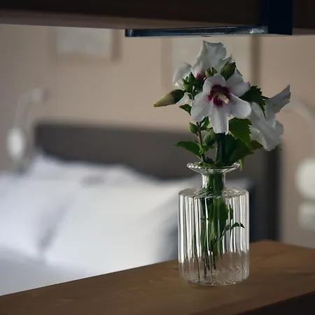 Domus Natura * 维贡扎