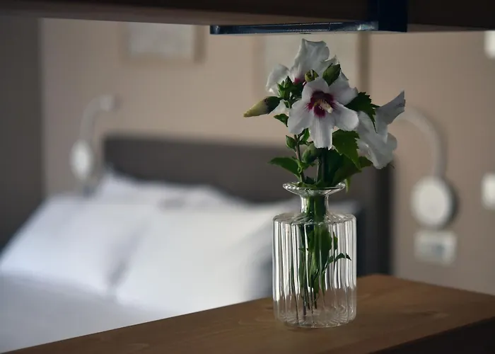 Domus Natura * 维贡扎